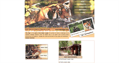 Desktop Screenshot of indiantiger.com